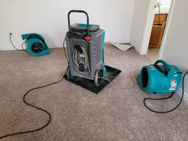 Best Water damage cleanup near me  in Vaeboro, NC