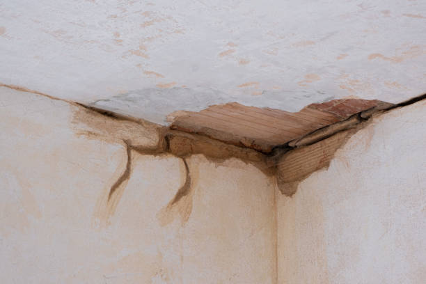 Best Water damage contractors near me  in Vaeboro, NC
