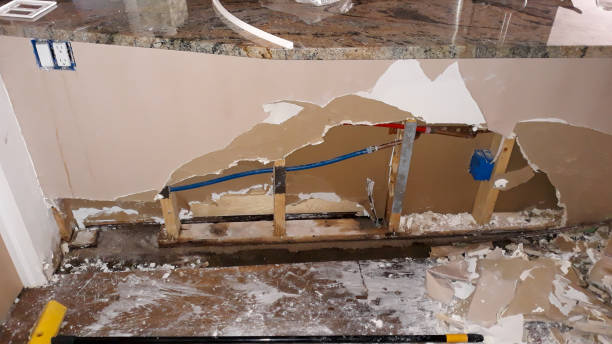 Best Basement water damage restoration  in Vaeboro, NC