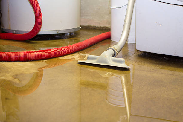 Best Sewage cleanup and water damage restoration  in Vaeboro, NC