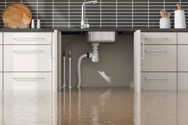 Best Residential water damage restoration  in Vaeboro, NC