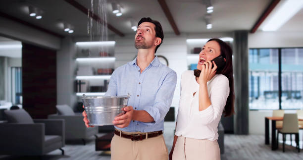 Best Mold removal after water damage  in Vaeboro, NC